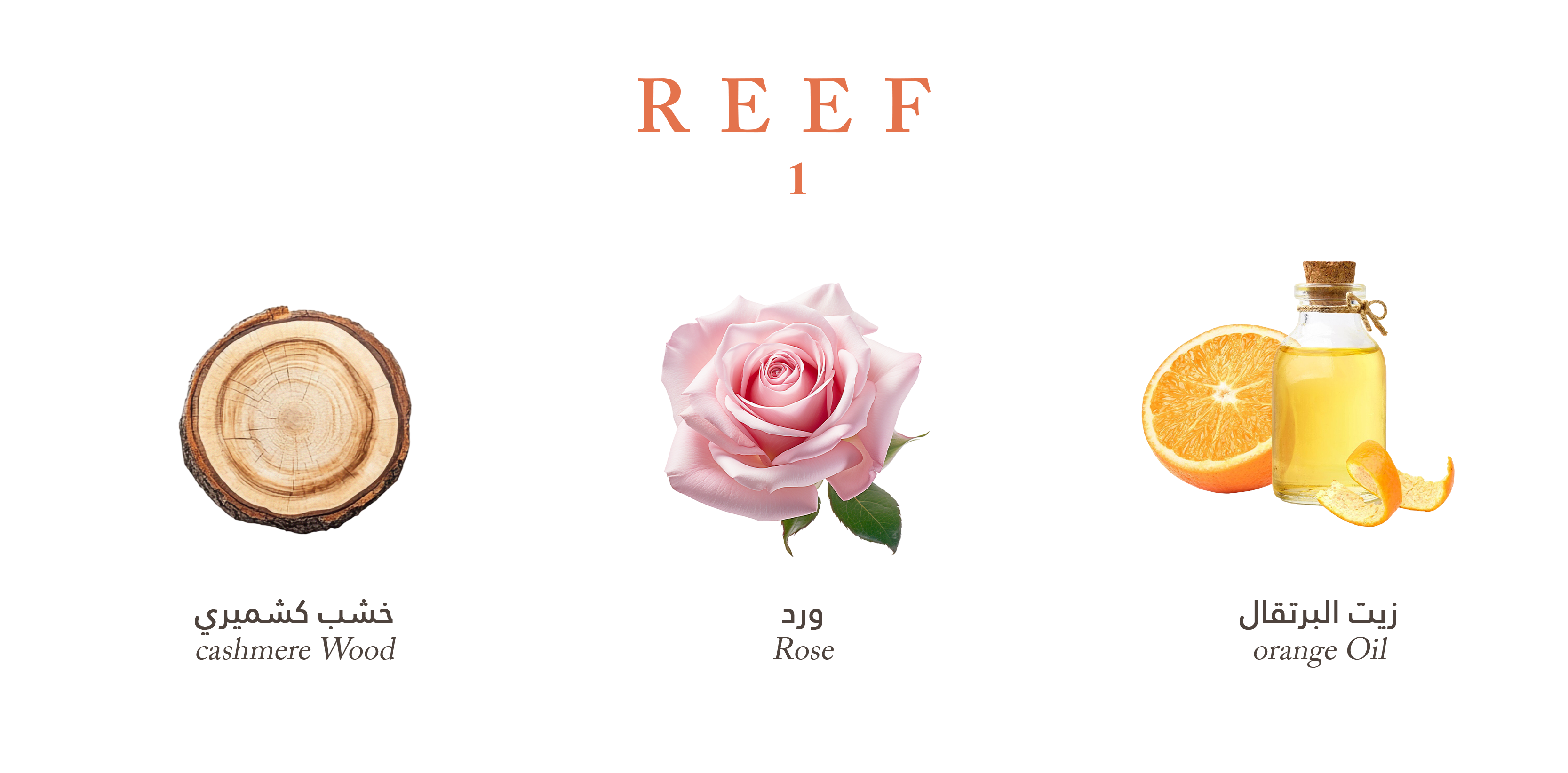 Reef perfume 1