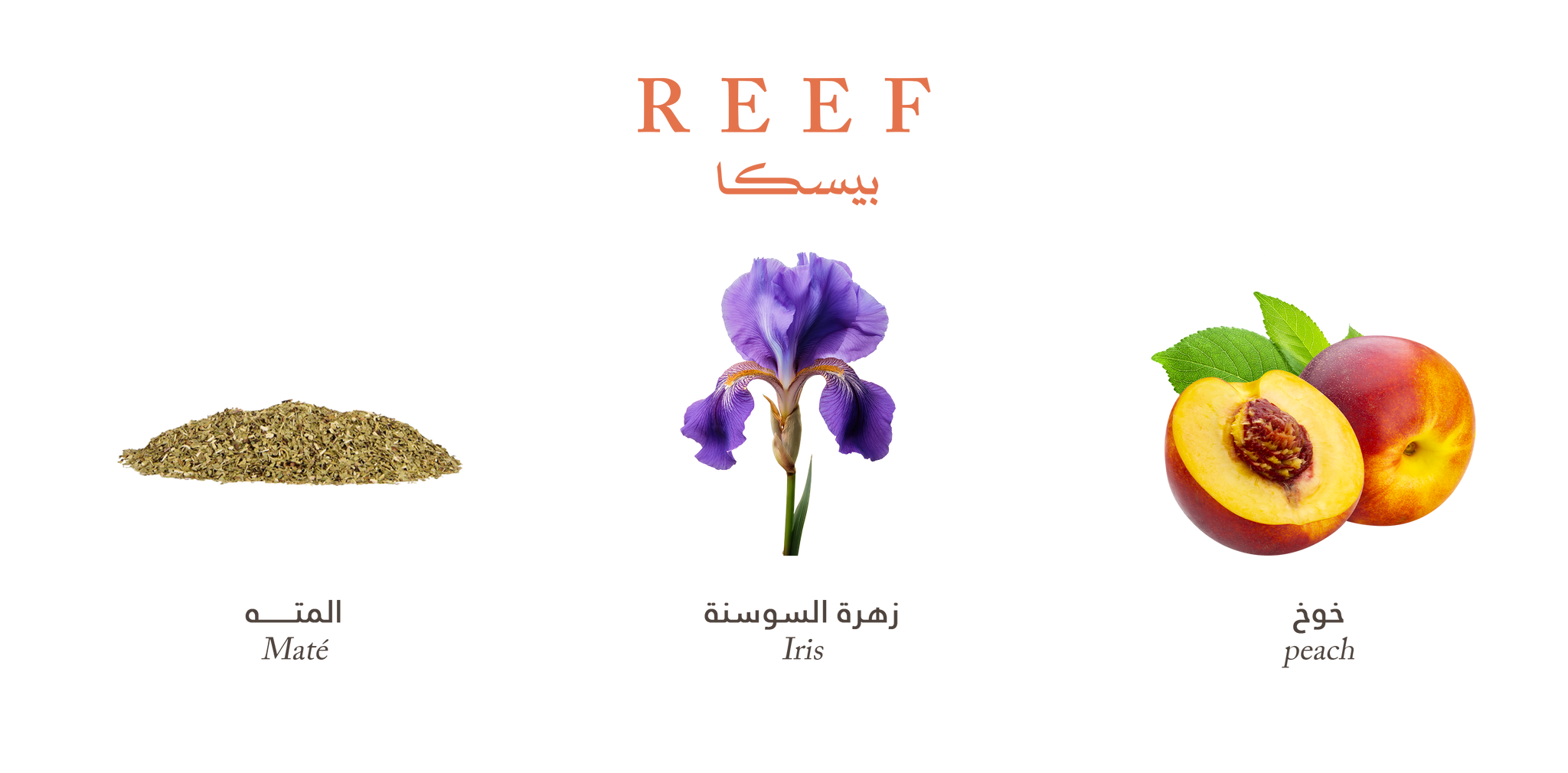 Reef Pesca – Peach Floral Radiance